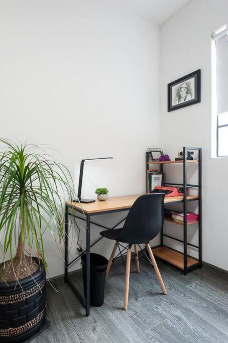 Lovely 2br In Condesa Mexico City